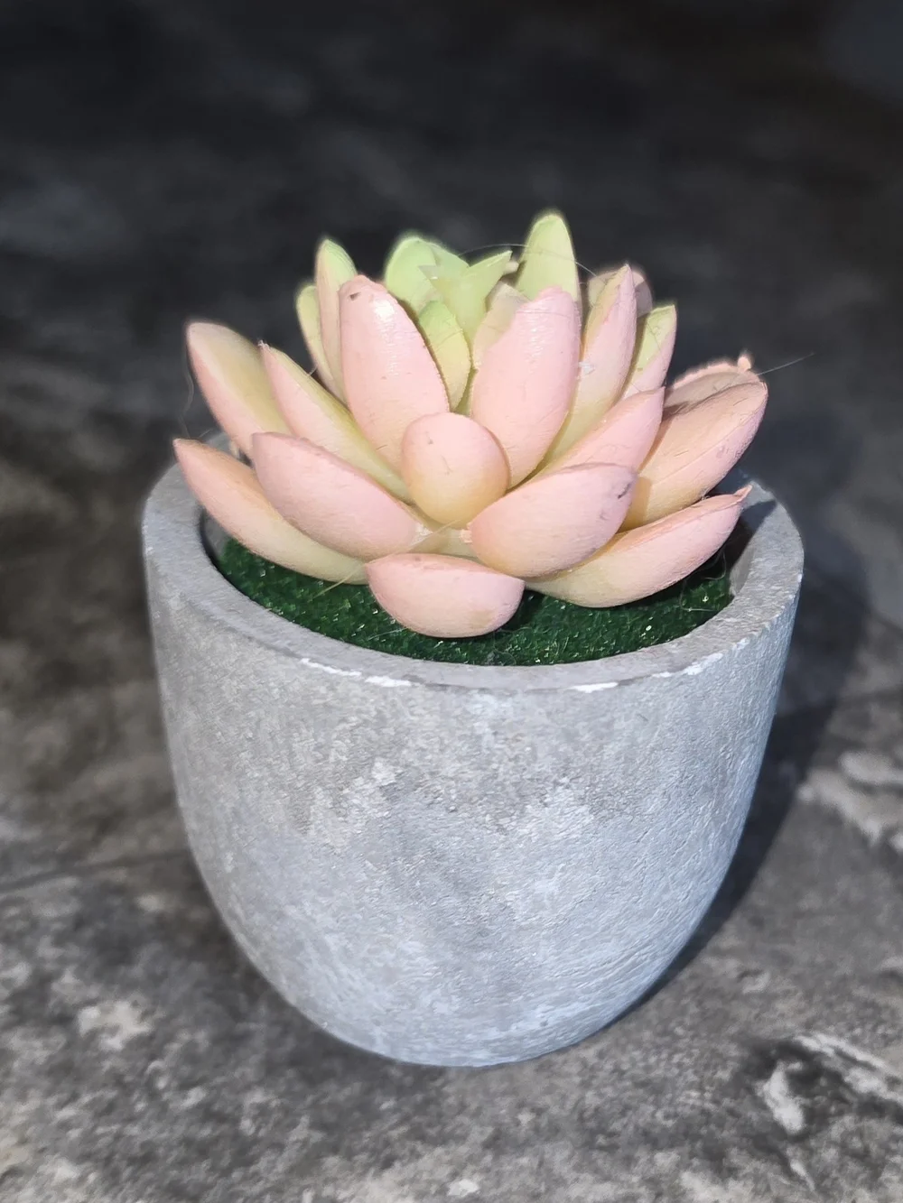 Artificial Pink & Yellow Succulent In Mini Gray Cement Planter BNIB